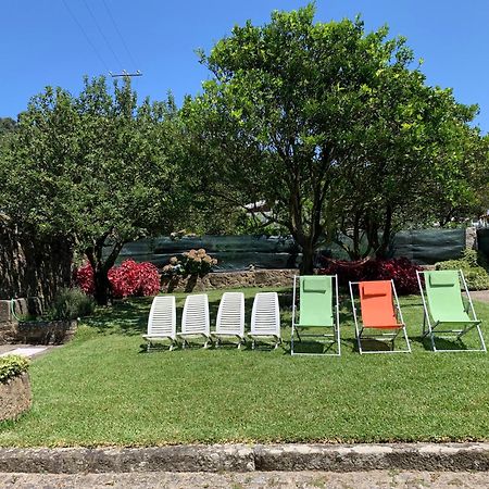 Casa Praia E Campo فيانا دو كاستيلو المظهر الخارجي الصورة